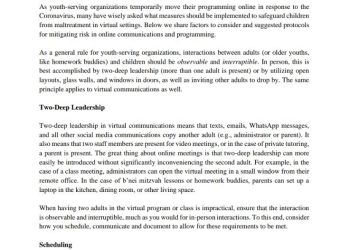 Safeguards online programming